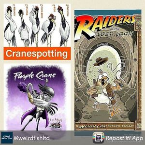 Image post by @rspb on Instagram