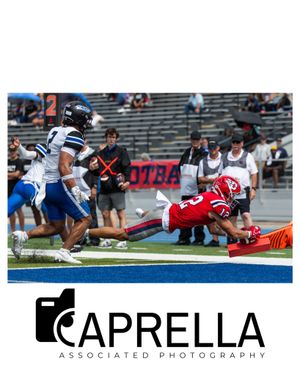 Image post by @caprellaassociatedphotos on Instagram