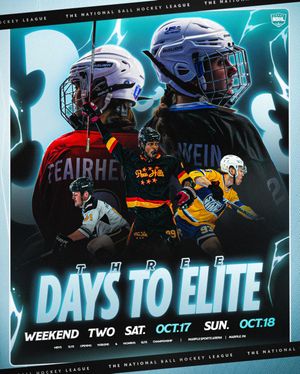 Image post by @nationalballhockeyleague on Instagram