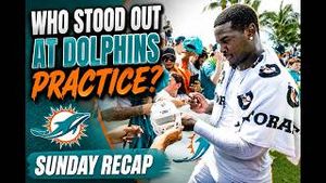 Video post by @dolphinstalk on YouTube