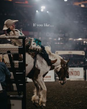 Image post by @thehondorodeo on Instagram