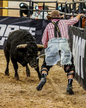Image post by @ultimatebullfighters on Instagram