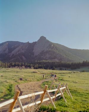 Image post by @connorpickett on Instagram