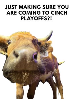 Image post by @cinchjeans on Instagram