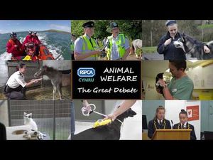 Video post by @RSPCACymru on YouTube