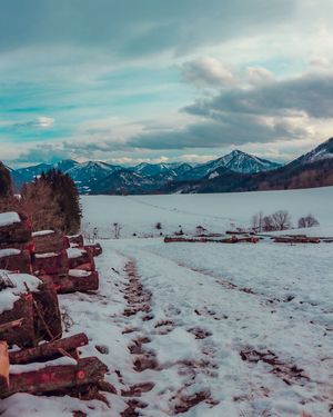 Image post by @cristan.nature.photography on Instagram