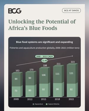Image post by @bcg on Instagram