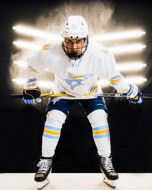 Image post by @liumhockey on Instagram