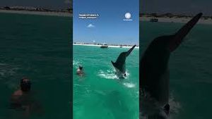 Video post by @accuweather on YouTube