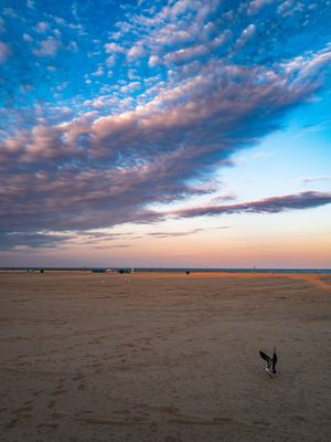Image post by @oceancitymaryland on Instagram
