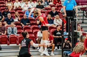 Image post by @iuindy_vb on Instagram