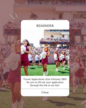 Image post by @txststrutters on Instagram