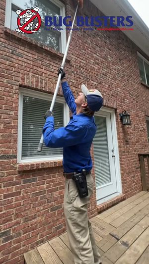 Video post by @bugbustersusa on TikTok
