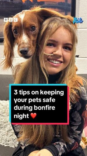 Video post by @cbbc on TikTok