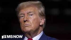 Video post by @msnbc on YouTube