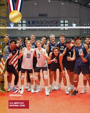 Image post by @usavolleyball on Instagram