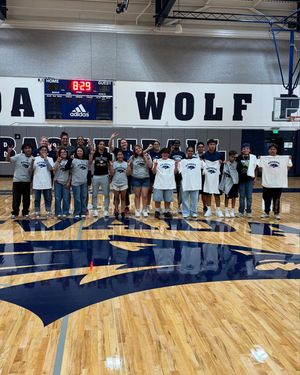 Image post by @nevadawbb on Instagram