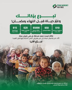 Image post by @syrianetf on Instagram