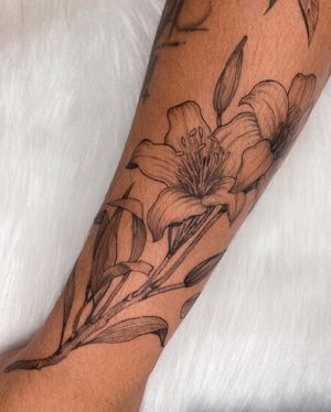 Image post by @tamarafalcomer on Instagram