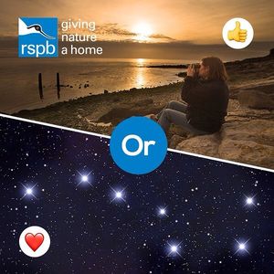 Image post by @rspb on Instagram