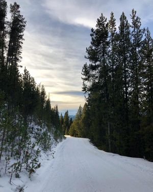 Image post by @smumnnordic on Instagram