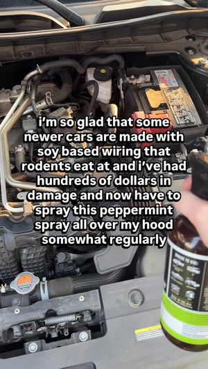 Video post by @gmf memes on Facebook