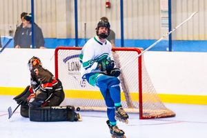 Image post by @ecgulls on Instagram