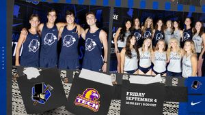 Image post by @lmurailsplitters on Instagram