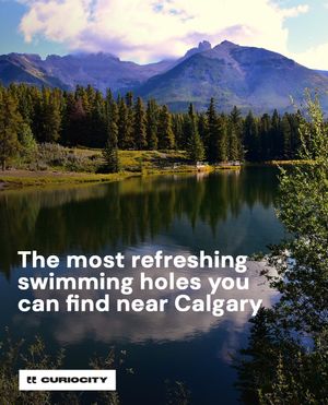 Image post by @curiocitycalgary on Instagram
