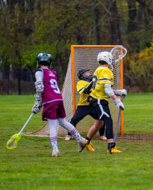 Image post by @blatantlacrosse on Instagram