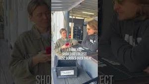 Video post by @brlobeer on YouTube