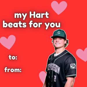 Image post by @stevensonbsb on Instagram