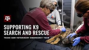 Video post by @Texas A&M University on YouTube