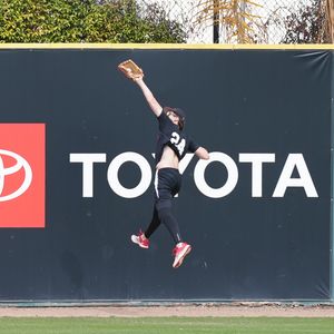 Image post by @gonubaseball on Instagram