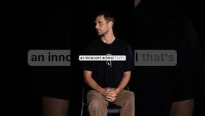 Video post by @counterpointstudios on YouTube