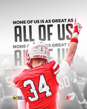 Image post by @msum_football on Instagram