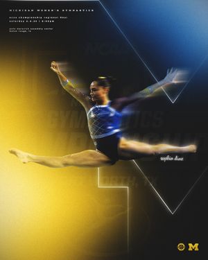 Image post by @umichwgym on Instagram