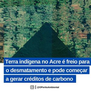 Image post by @operitoambiental on Instagram