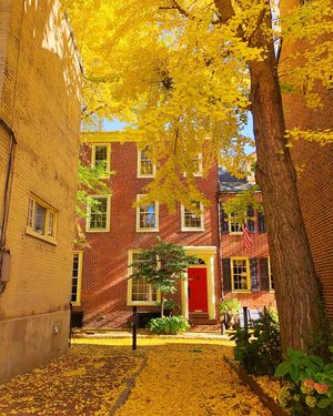 Image post by @discover_phl on Instagram