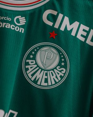Image post by @palmeiras on Instagram