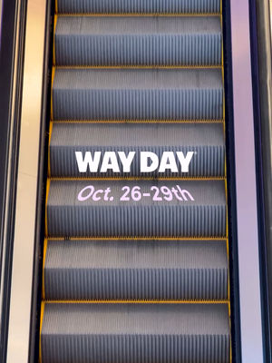 Video post by @wayfair on TikTok