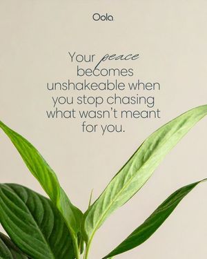 Image post by @oolalife on Instagram