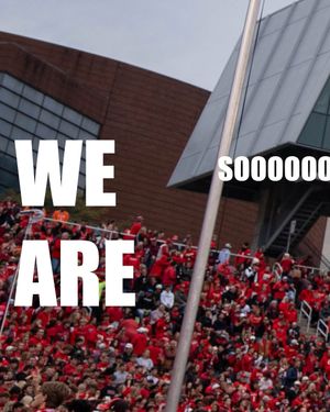 Image post by @gobearcatscheer on Instagram