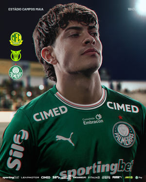 Image post by @palmeiras on Instagram