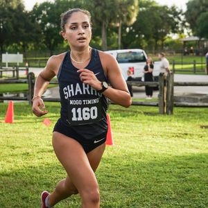 Image post by @nsu_xctf on Instagram