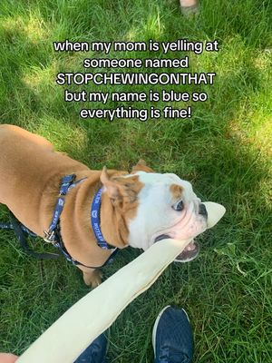 Image post by @thebutlerblue on Instagram