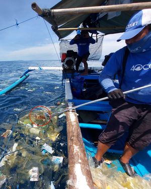 Image post by @4ocean on Instagram