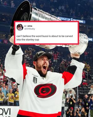 Image post by @hockeytrolls on Instagram