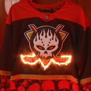Image post by @anaheimducks on Instagram
