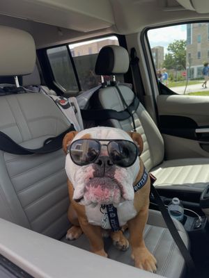 Image post by @thebutlerblue on Instagram